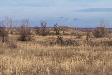 Taurian bozkır sonra yaz yangınları