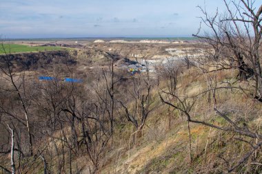Taurian bozkır sonra yaz yangınları