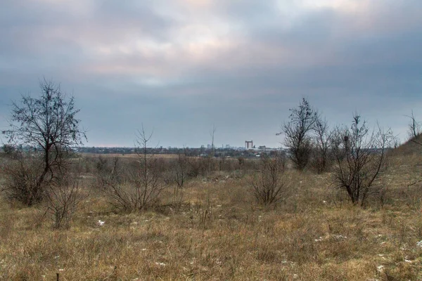 Steppe Taurienne Près Mer Azov Région Zaporozhye Ukraine Janvier 2017 — Photo