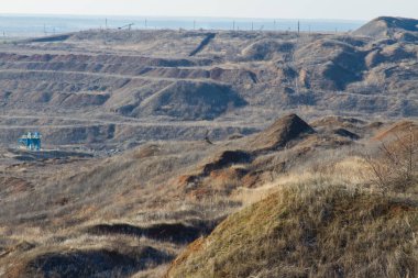 Karaca ya da yaban keçisi (Latince Capreolus) Avrasya bölgesi Zaporozhye bölgesinde yaşayan geyik cinsidir. Ukrayna. Ocak 2018
