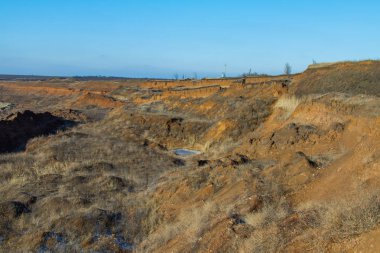 Karaca ya da yaban keçisi (Latince Capreolus) Avrasya bölgesi Zaporozhye bölgesinde yaşayan geyik cinsidir. Ukrayna. Ocak 2018
