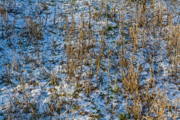 Den Første Lille Sne Taurida Steppe Zaporozhye Regionen Ukraine Januar - Stock-foto