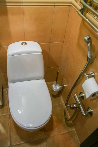 Toalett med en hygienisk Stockbild