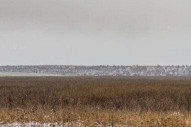 Karla kaplı Tavri bozkır kışın