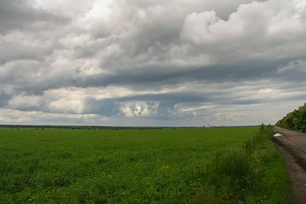 Ukrayna Donetsk bölgesi alanlarına bahar. Ukrayna. Nisan 2010