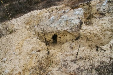 yamaçta tilki deliği