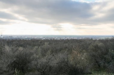 Sonbaharda Taurian bozkır
