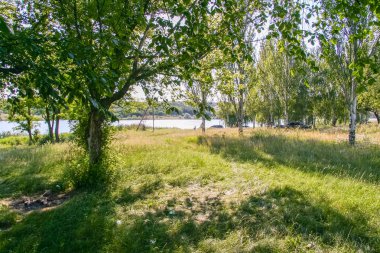 Yaz aylarında çiçek açan bozkır Tavriysky