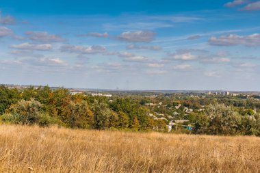 Bozkır içinde koruyucu orman standları