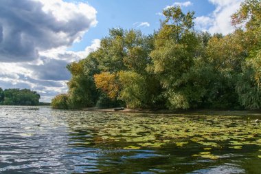 Sonbahar Kushugum sel