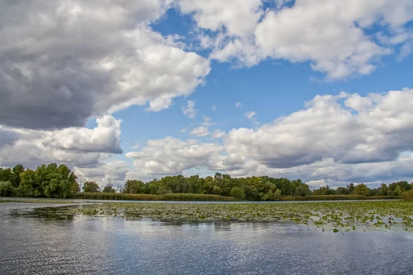 Sonbahar Kushugum sel