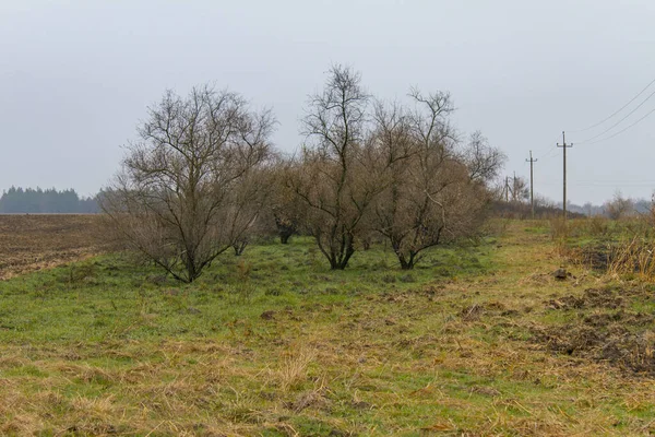 Uma faixa de árvores para proteger o campo da erosão Fotos De Bancos De Imagens Sem Royalties