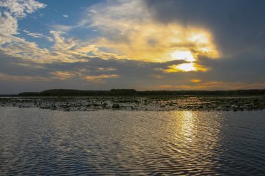 Sıcak bir sonbahar gününde Dnipro Nehri 'ndeki Kushugum taşkın ovalarında güzel bir günbatımı. Zaporizhya bölgesi, Ukrayna. Eylül 2012.