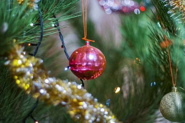 Jouet en verre accroché à un arbre de Noël Photos De Stock Libres De Droits