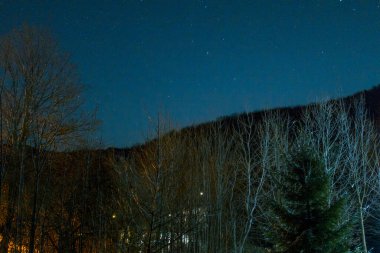 Bir dağ ormanının üzerinde gece gökyüzü. Karpatya dağları, Zakarpattia bölgesi, Ukrayna. Şubat 2016