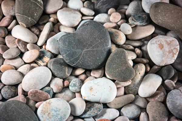 Hart-vormige kiezels op stenen achtergrond — Stockfoto