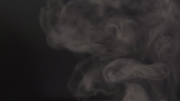 Stoom stijgende witte rook op zwarte achtergrond — Stockvideo