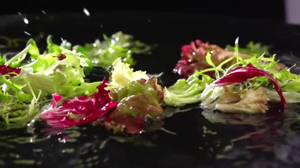 Fresh salad floats in water over black background. Water drop on salad. Close-up — Stock Video