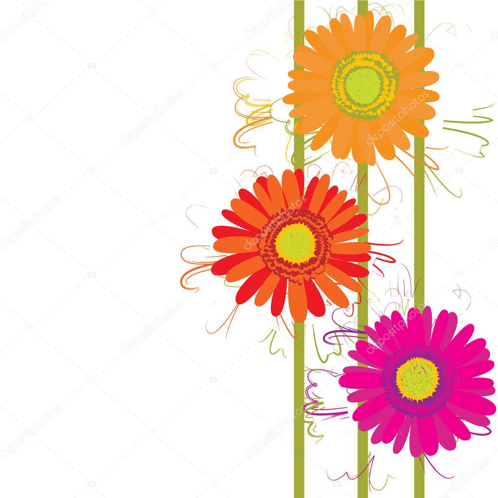 Vector colorful gerbera flowers with stems.