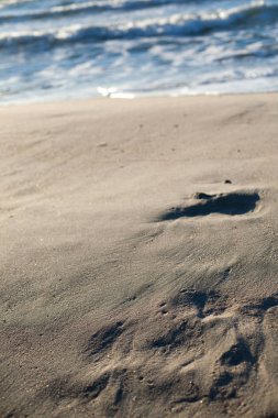 Deniz arka plan beach