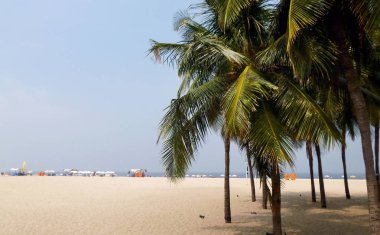 CopacabanaPlajı palmiye ağaçları ile