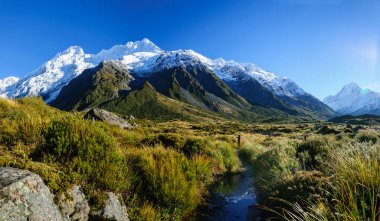 Fahişe Vadisi parça, Mount Cook, Yeni Zelanda.