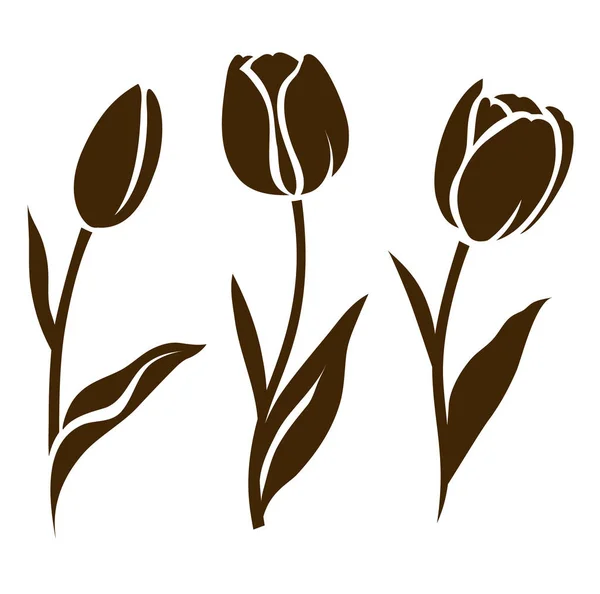 Set of  tulip silhouettes — Stock Vector