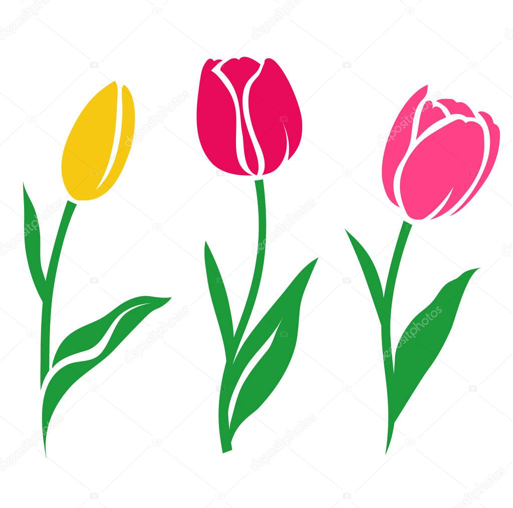 Set of colorful tulip silhouettes