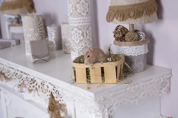 Rata decorativa en la chimenea — Foto de Stock