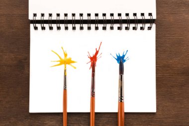 brushes and paint splashes   clipart