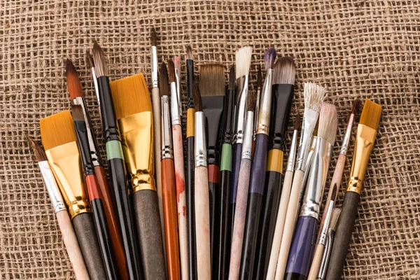 Various paintbrushes collection — Stock Photo