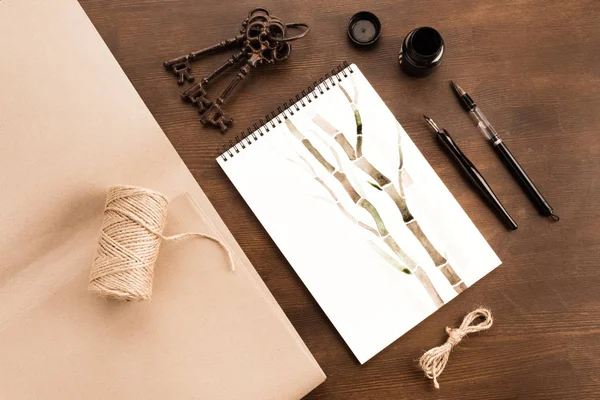 Bamboo drawing in album — Stock Photo