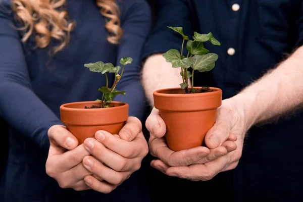 Neto e avô com plantas de hera — Fotografia de Stock