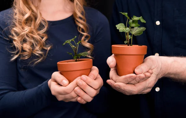 Neto e avô com plantas de hera — Fotografia de Stock