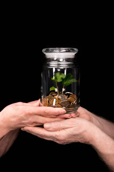 Couple with coins and plant in jar — Stock Photo