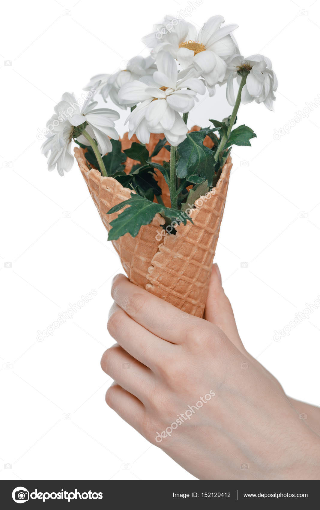 Flowers in ice cream cones Flowers in ice cream cone — Stock Photo