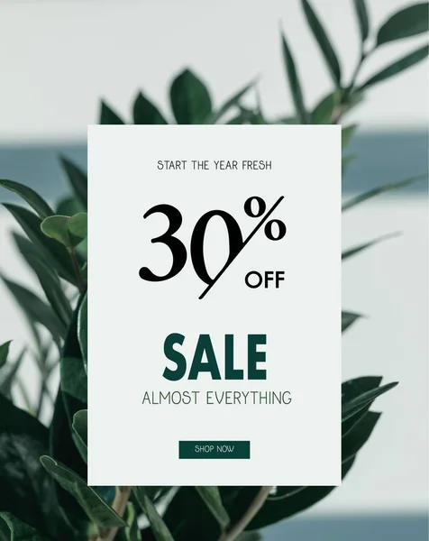 Sale banner template — Stock Photo, Image