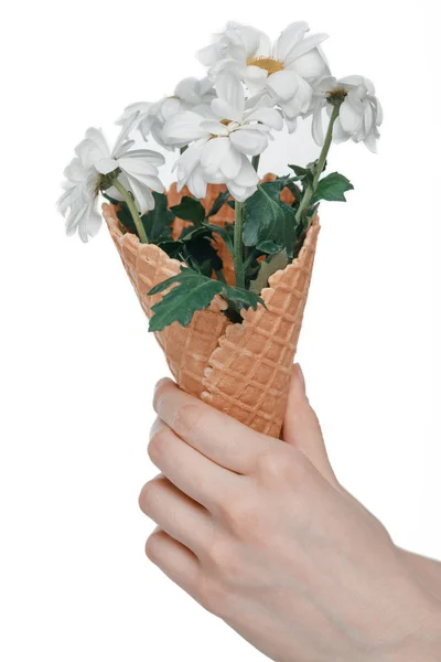 Fleurs dans un cône de crème glacée — Photo de stock