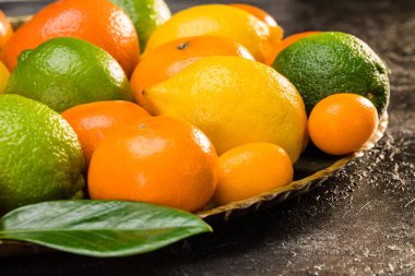 fresh citrus fruits clipart