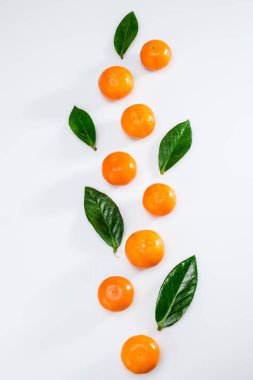 taze mandalina ve yaprakları