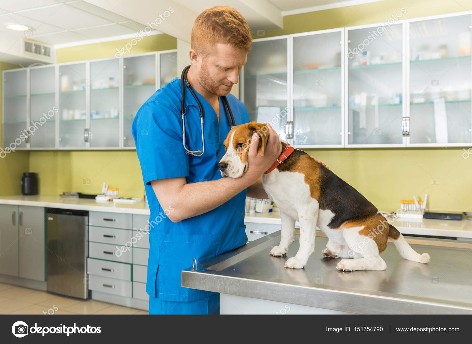 Veterinary examing dog — Stock Photo © SergPoznanskiy 151354790