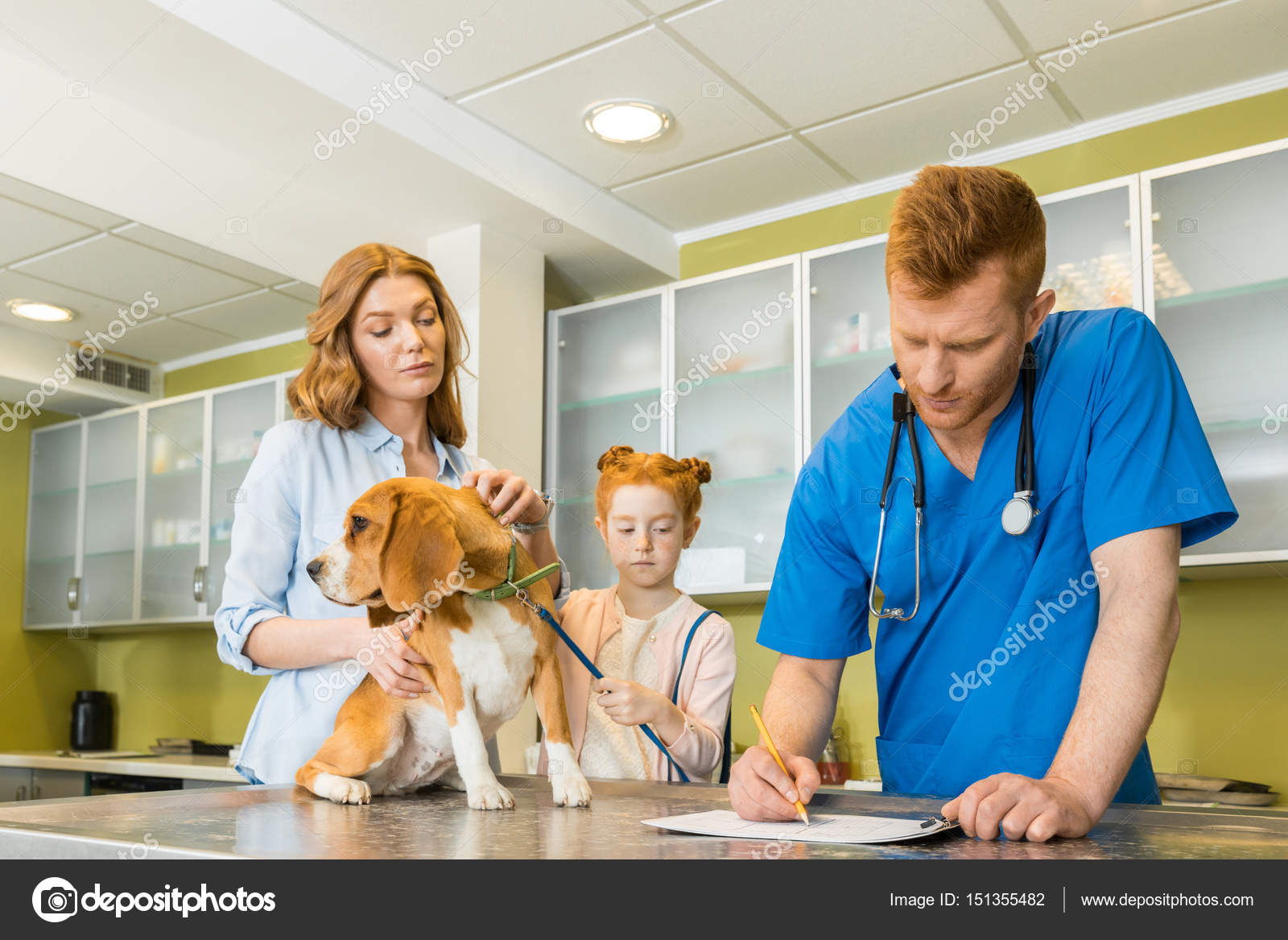 Dog at veterinary doctor — Stock Photo © SergPoznanskiy 151355482