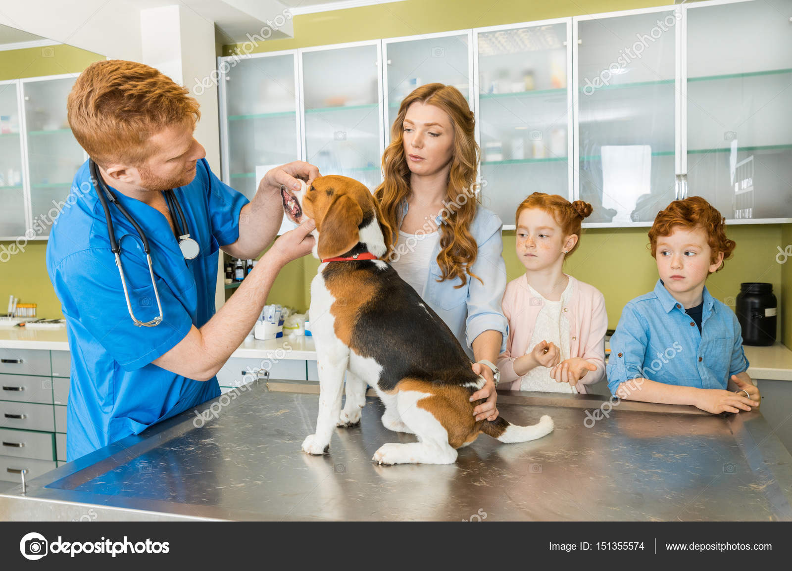 Veterinary examing dog at clinic — Stock Photo © SergPoznanskiy 151355574