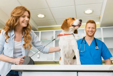 Onu köpek veteriner adlı kadınla 