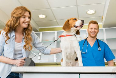 Woman with her dog at veterinary  clipart