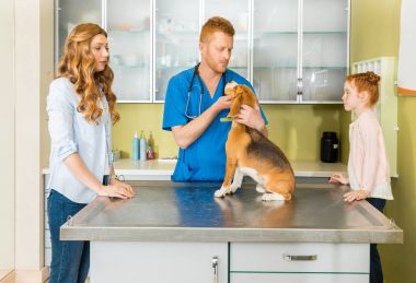 Hayvan hastalıklarıyla ilgili tasvirler köpek Kliniği