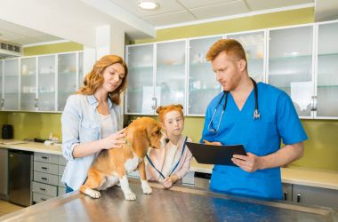 Hayvan hastalıklarıyla ilgili tasvirler köpek Kliniği