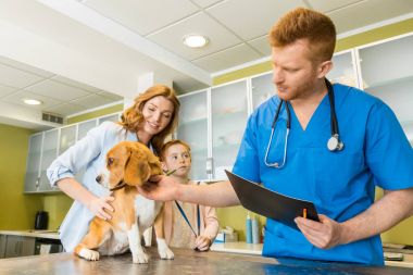 Hayvan hastalıklarıyla ilgili tasvirler köpek Kliniği