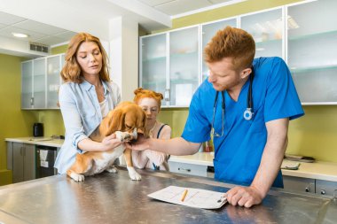 Hayvan hastalıklarıyla ilgili tasvirler köpek Kliniği