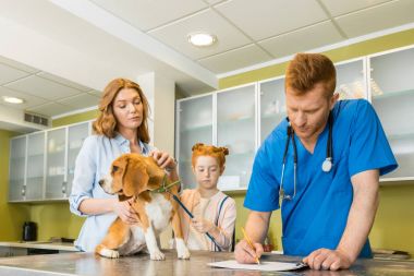 köpek Veteriner Hekim 
